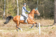 Jade 69 Merle DENKER