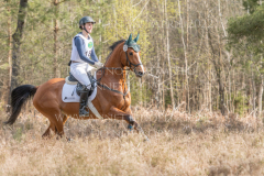 Jade 69 Merle DENKER