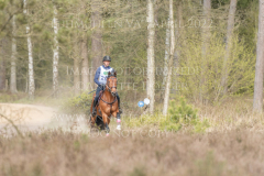 Perseverance Grat Warrior d lv Dennis HUITS