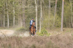 Perseverance Grat Warrior d lv Dennis HUITS