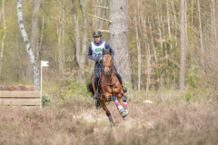 Perseverance Grat Warrior d lv Dennis HUITS