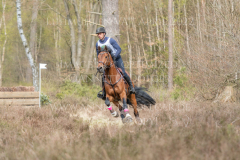 Perseverance Grat Warrior d lv Dennis HUITS