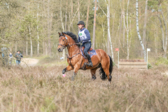 Perseverance Grat Warrior d lv Dennis HUITS