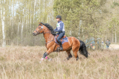 Perseverance Grat Warrior d lv Dennis HUITS