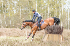 Perseverance Grat Warrior d lv Dennis HUITS