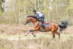 Perseverance Grat Warrior d lv Dennis HUITS