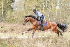 Perseverance Grat Warrior d lv Dennis HUITS