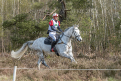 Silver Schelly Neele Sophie WITTKOHL