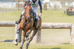 Draulik H Carlo KLIPPEL