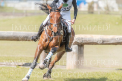 Draulik H Carlo KLIPPEL