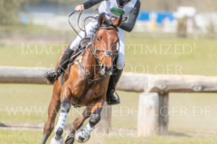 Draulik H Carlo KLIPPEL