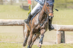 Suzi 4 Emily Johanna WOLFSCHMITT