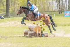 Feline 132 Luise MAREK