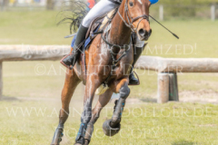 Feline 132 Luise MAREK