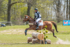 Turflady xx Horst WENTE