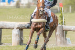 Turflady xx Horst WENTE