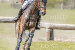 Cooperstown SH Paolo Mario DE SIMONE