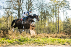 Diva R Theresa HOMMEL