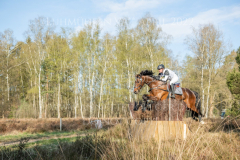 Cool Collin Lisa RICKERT