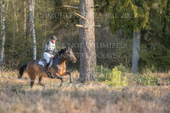 Sweet Clover Britta STUERKEN