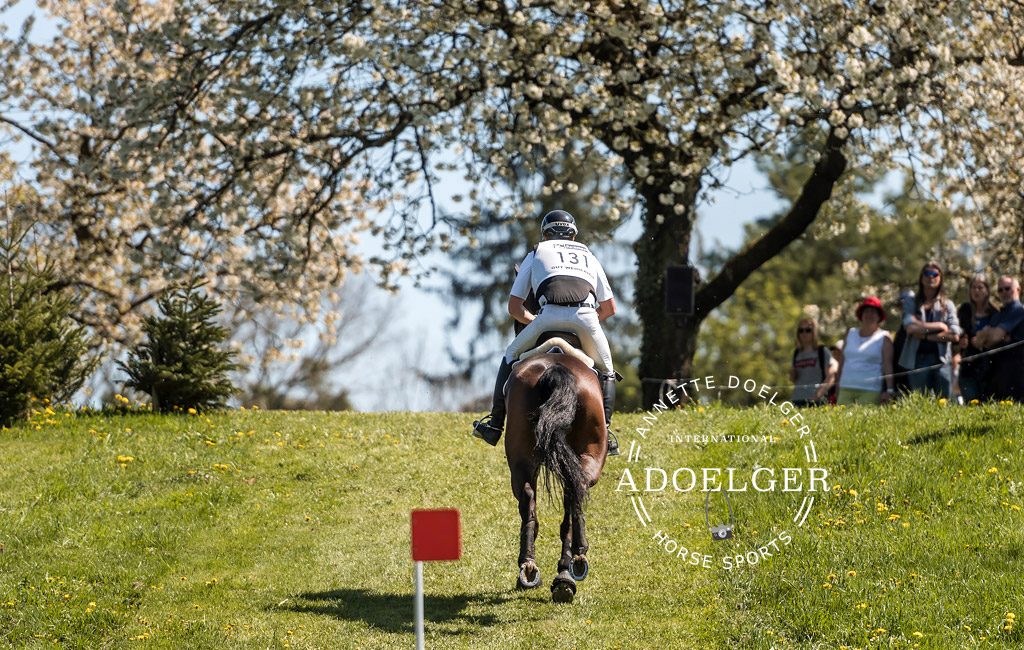 2019 April 20 CCI3-S Radolfzell